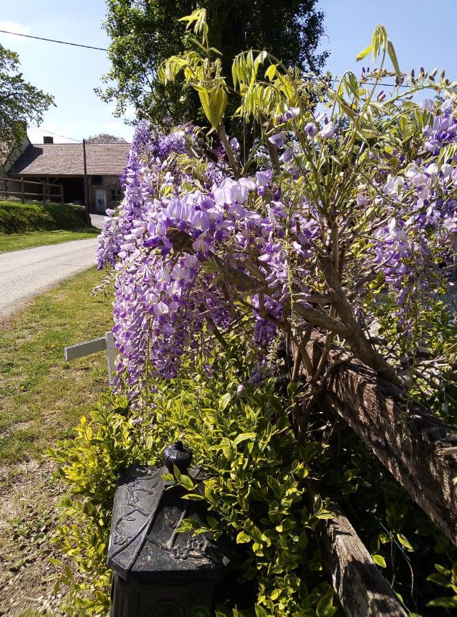 Le Beauregard Bed & Breakfast Ranes Bagian luar foto